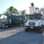 Affordable Tree Service