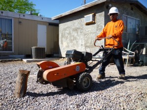 Affordable Tree Service Crew Member with Stump Grinder
