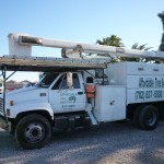 Affordable Tree Service Truck
