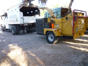 Affordable Tree Service Equipment