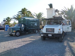 Affordable Tree Service Trucks