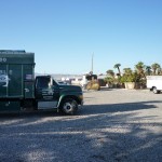 Affordable Tree Service Yard