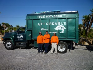 Affordable Tree Service Truck & Crew