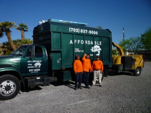 Affordable Tree Service Truck & Crew