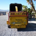 Affordable Tree Service Equipment