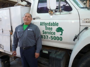 Affordable Tree Service Crew Member