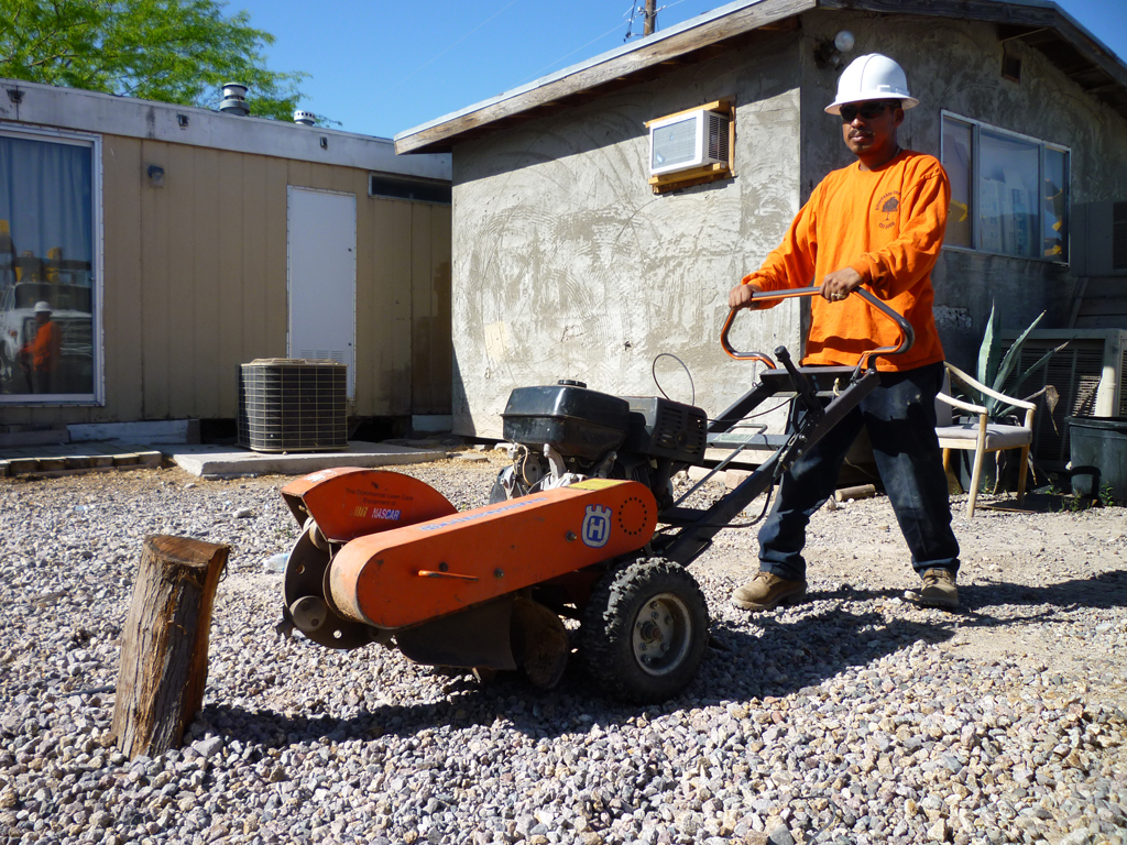 Tree deals stump cutter