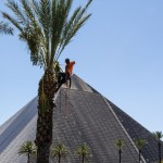 Affordable Tree Service @Luxor