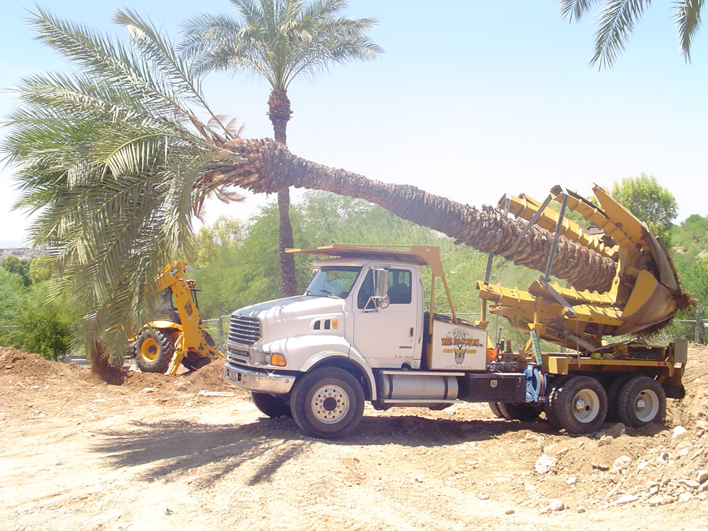 Affordable Tree Service Spade Truck - Affordable Tree Service