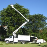 Affordable Tree Service